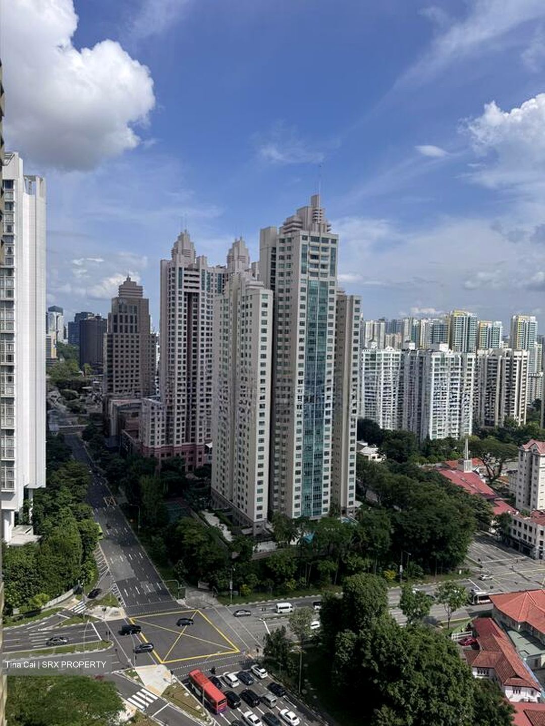 Irwell Hill Residences (D9), Apartment #498417741